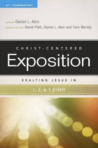 Cover of Exalting Jesus in 1,2,3 John