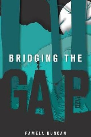 Cover of Bridging the Gap