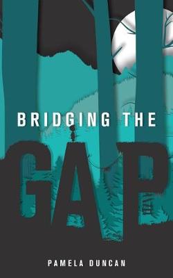 Book cover for Bridging the Gap