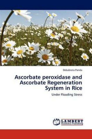 Cover of Ascorbate Peroxidase and Ascorbate Regeneration System in Rice