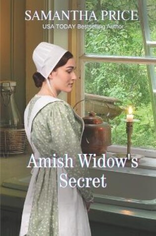 Cover of Amish Widow's Secret