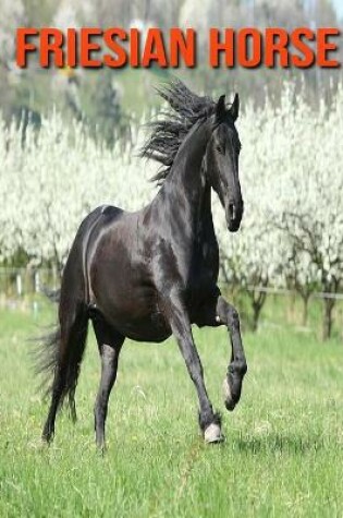 Cover of Friesian Horse