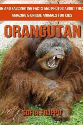 Cover of Orangutan