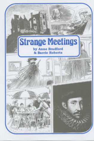 Cover of Strange Meetings