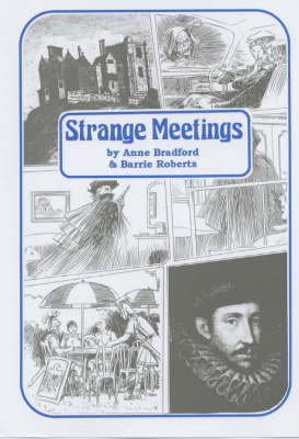 Book cover for Strange Meetings