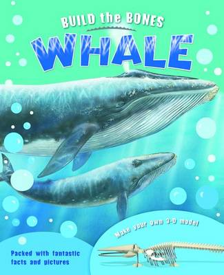 Book cover for Build the Bones: Whale