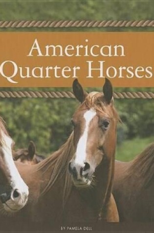 Cover of American Quarter Horses