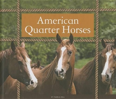 Book cover for American Quarter Horses