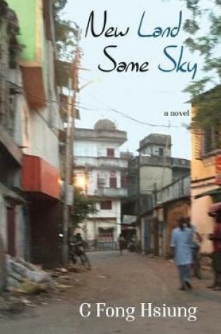 Cover of New Land Same Sky
