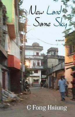 Book cover for New Land Same Sky