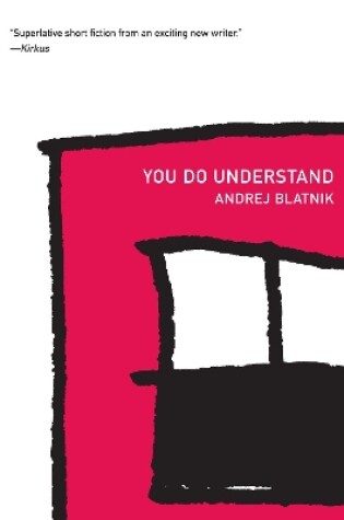 Cover of You Do Understand