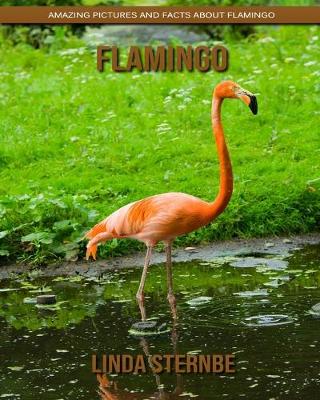 Book cover for Flamingo