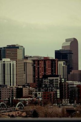 Cover of Denver Colorado City Skyline