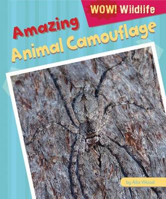 Book cover for Amazing Animal Camouflage
