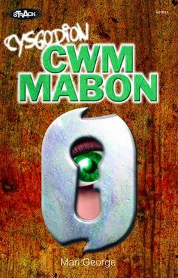 Book cover for Cysgodion Cwm Mabon