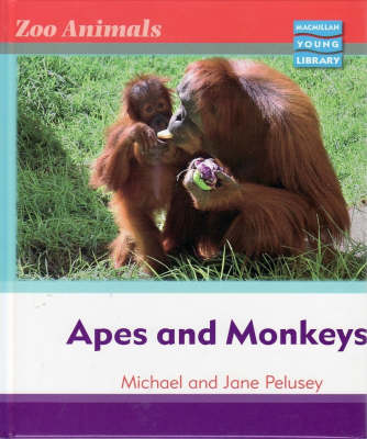 Book cover for Zoo Animals: Apes and Monkeys Macmillan Library