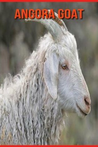 Cover of Angora Goat