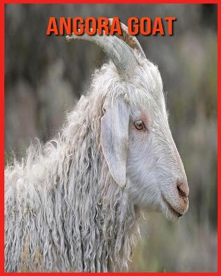 Book cover for Angora Goat