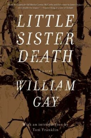 Cover of Little Sister Death