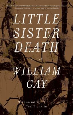 Book cover for Little Sister Death