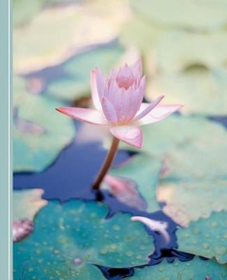 Book cover for Water Lily Flowers
