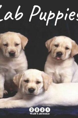 Cover of Lab Puppies 2021 Wall Calendar