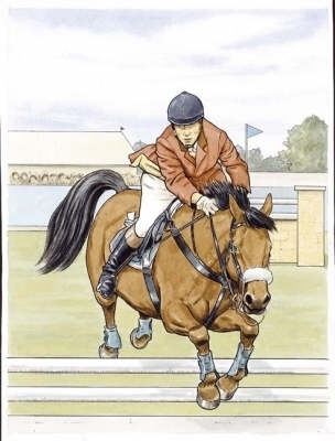 Cover of Favorite Horses Coloring Book