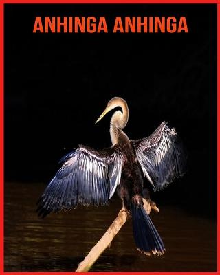 Book cover for Anhinga anhinga