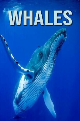 Cover of Whales