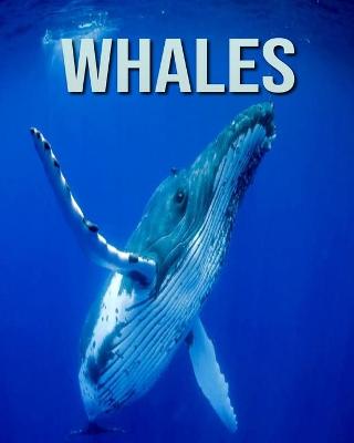 Book cover for Whales