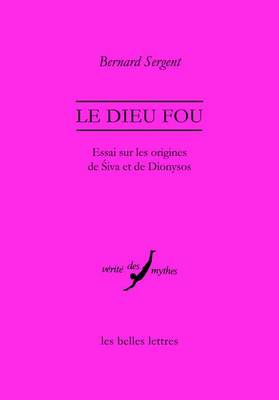 Book cover for Le Dieu Fou