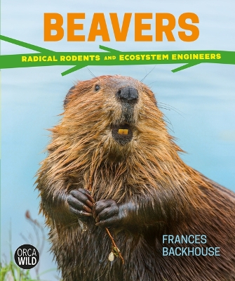 Cover of Beavers