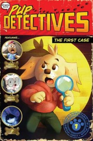 Cover of The First Case