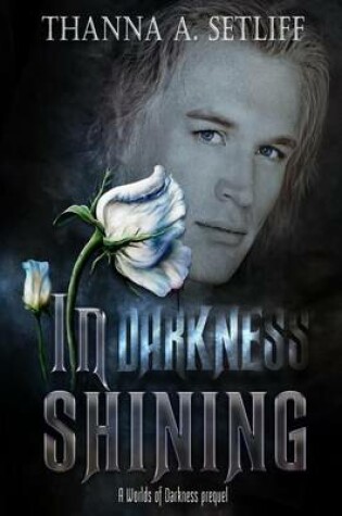 Cover of In Darkness Shining