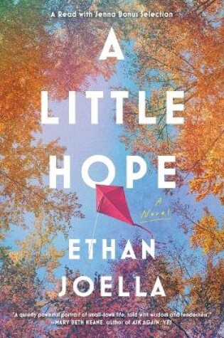 Cover of A Little Hope