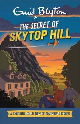 Book cover for The Secret of Skytop Hill