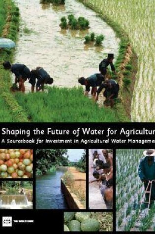 Cover of Shaping the Future of Water for Agriculture
