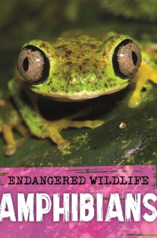 Cover of Endangered Wildlife: Rescuing Amphibians