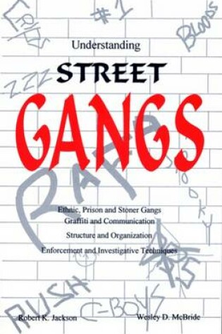 Cover of Understanding Street Gangs