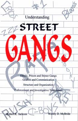 Book cover for Understanding Street Gangs