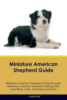 Book cover for Miniature American Shepherd Guide Miniature American Shepherd Guide Includes