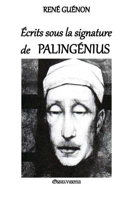 Book cover for Palingénius