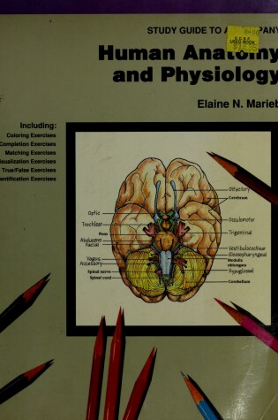 Cover of Human Anatomy and Physiology Study Guide