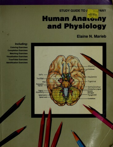 Book cover for Human Anatomy and Physiology Study Guide