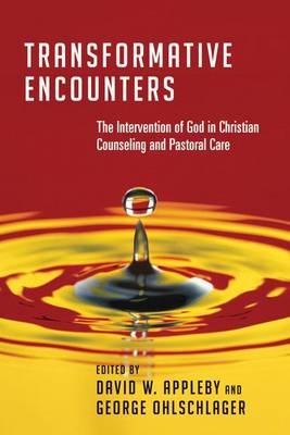 Book cover for Transformative Encounters