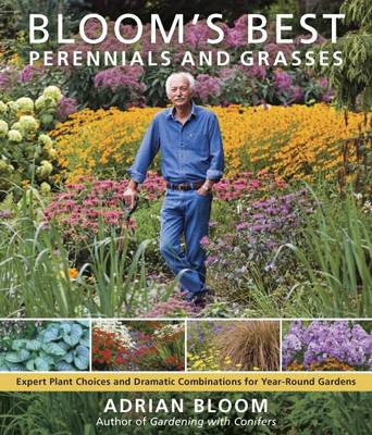 Book cover for Bloom's Best Perennials and Grasses