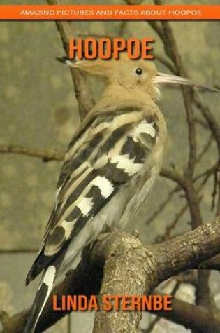 Cover of Hoopoe