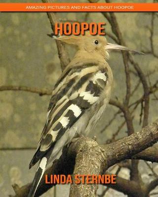 Book cover for Hoopoe