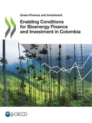 Book cover for Enabling conditions for bioenergy finance and investment in Colombia