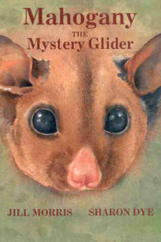 Cover of Mahogany the Mystery Glider